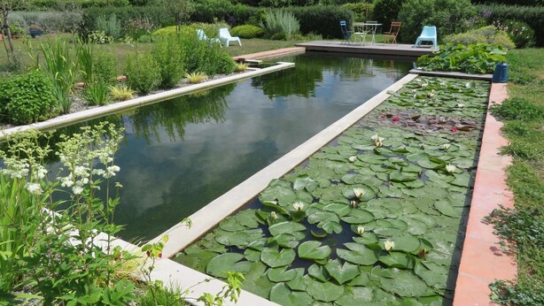A rectangular pond with lily pads and water lilies, surrounded by lush greenery and a paved walkway. - Gîte du Pradel - Saint-Jory (Saint-Jory)