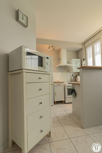 Les Violettes - Toulouse