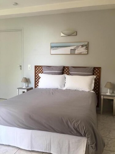 Les Violettes - Toulouse