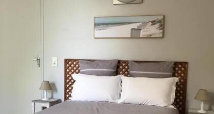 Les Violettes - Toulouse