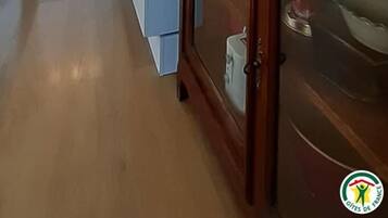 Réfrigérateur, micro-ondes, chaise haute