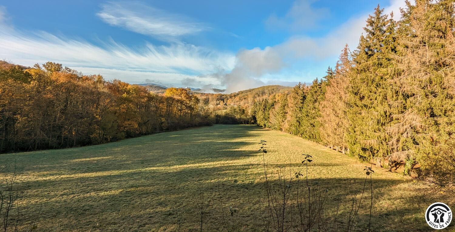 Ländliche Landschaft mit Feld, Bäumen und einer entfernten Hügelkette.