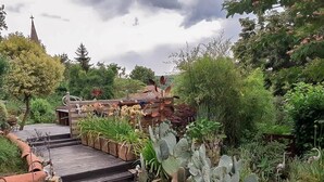 Un jardin agrémenté d’un escalier en bois, de plantes succulentes et de divers arbustes.