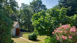 Un jardín con un sendero que lleva a un pequeño edificio, rodeado de exuberante follaje y plantas en flor.