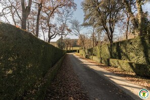Àrea exterior de l'allotjament