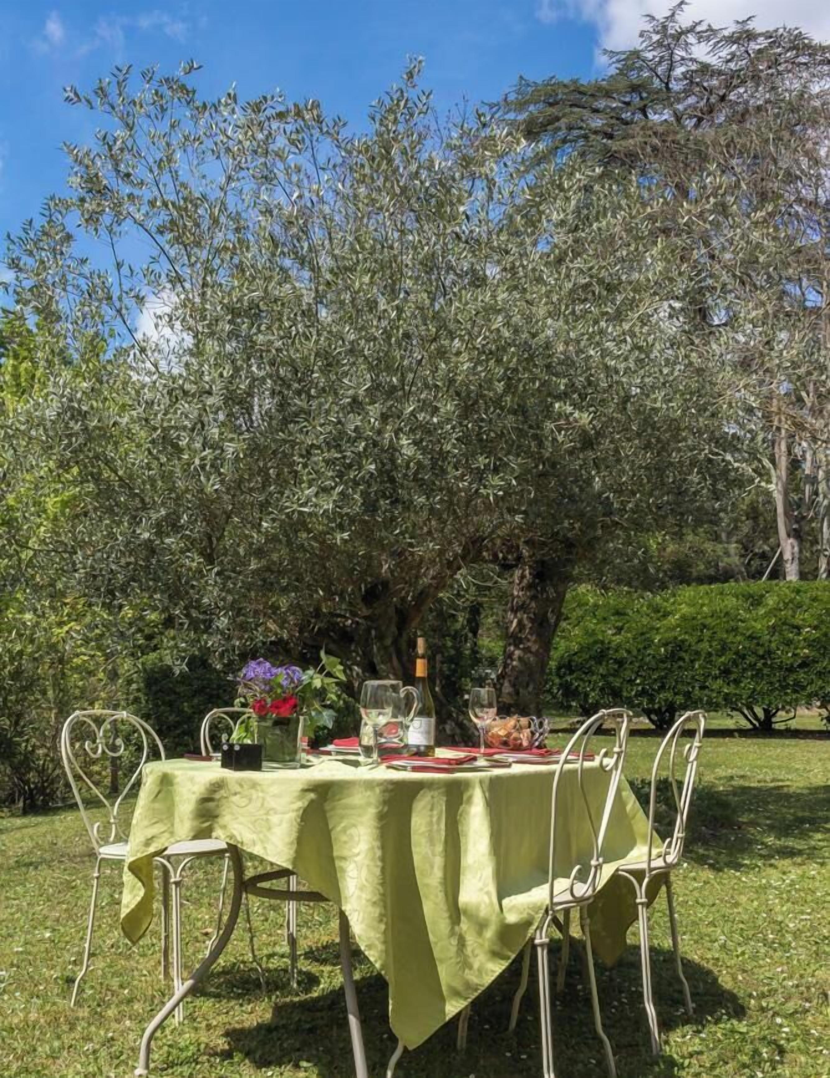 An outdoor dining area with a table set for two, surrounded by metal chairs, under a tree.