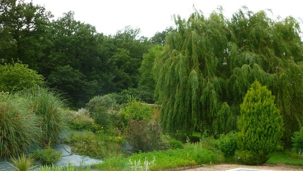 A swimming pool surrounded by lush greenery and trees. - Green Valley - Villaudric (Villaudric)