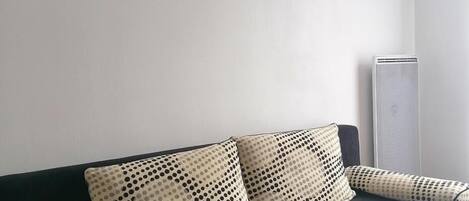 Un salon moderne avec un canapé noir, des coussins à motifs et un cadre photo fixé au mur.