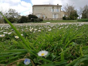 Property grounds - En Richard - Auriac-sur-Vendinelle (Auriac-sur-Vendinelle)