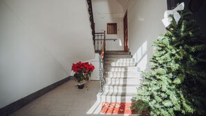 A staircase with a railing, a potted plant with red flowers, and a Christmas tree.