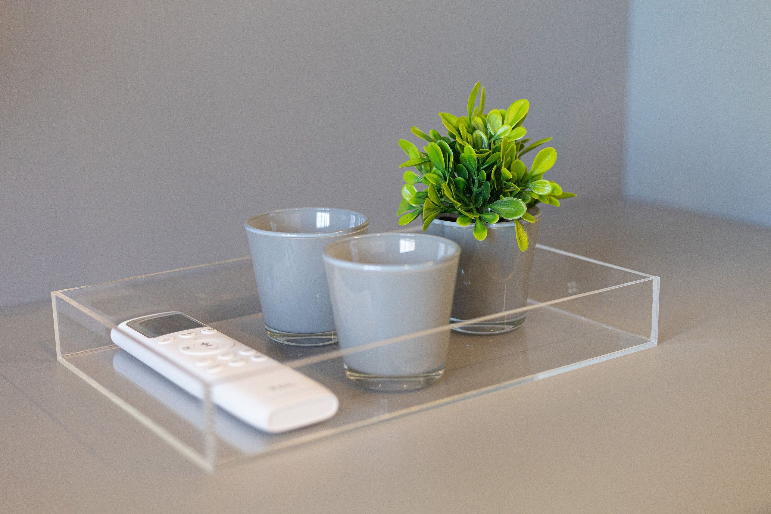 A remote control, two glasses, and a small potted plant on a clear acrylic stand.