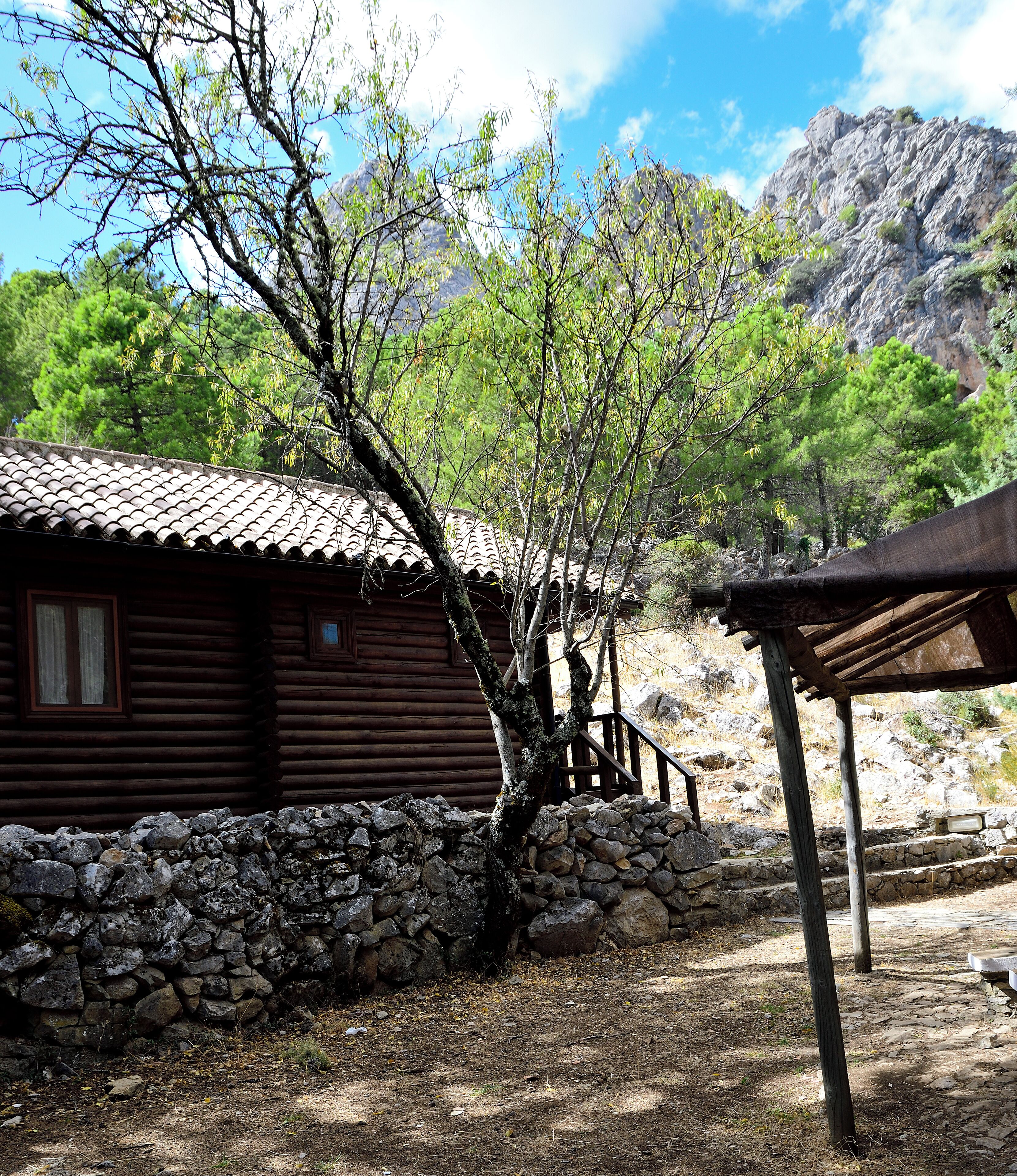 Una cabaña rústica de madera con techo de tejas, rodeada por un muro de piedra y un árbol.