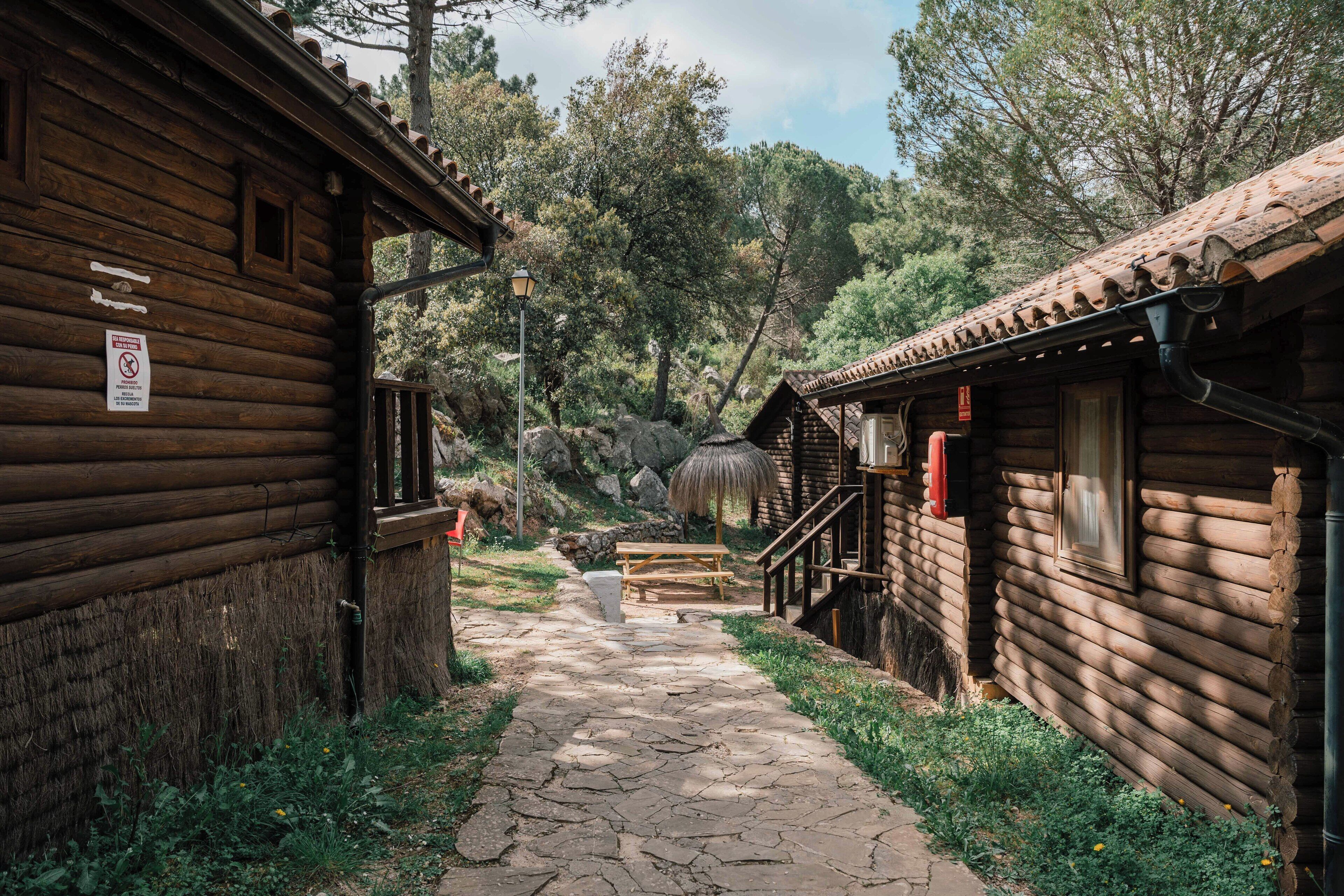 Un estrecho sendero de piedra conduce a cabañas de madera rústicas con techos de paja, rodeadas de follaje y árboles.