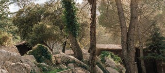 Camping Tajo Rodillo