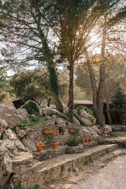 Camping Tajo Rodillo