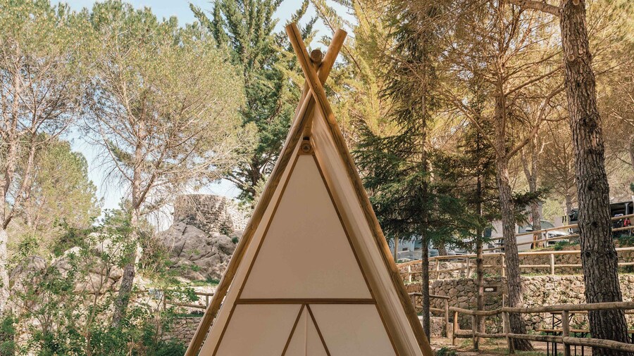 Camping Tajo Rodillo