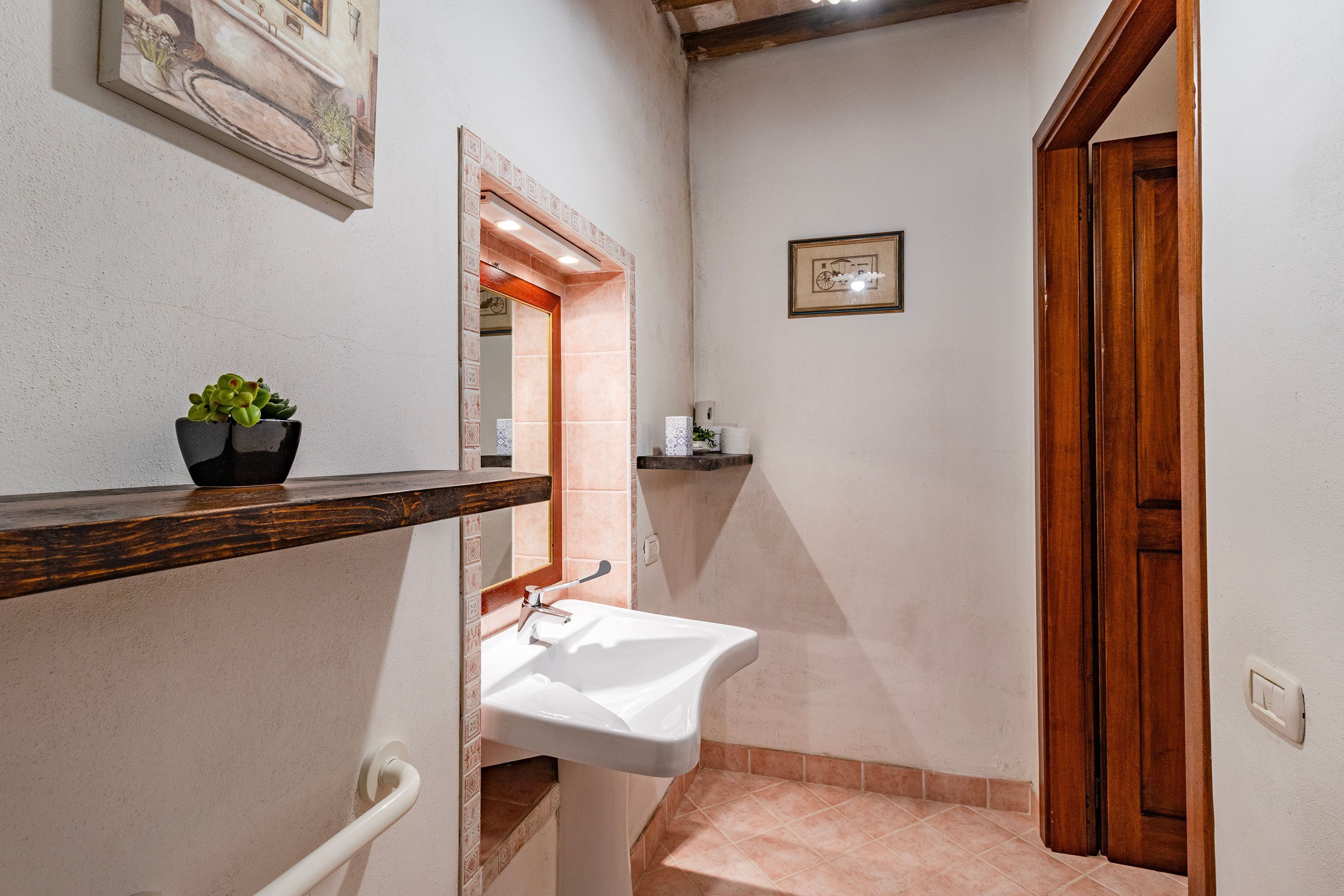 A bathroom with a white sink, a wooden shelf with a potted plant, a mirror, and a door.