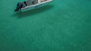 A small boat anchored in clear turquoise waters. - Posada La Rosaleda (Los Roques)
