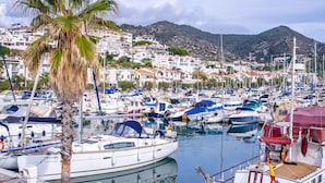 A marina with boats docked, surrounded by residential buildings and a palm tree. - Casa Rivolte in San Remo (Sanremo)