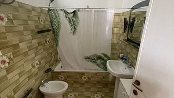 Shower, hair dryer, bidet, towels