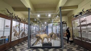 Un museo con vitrinas de vidrio que exhiben animales disecados y especímenes montados.
