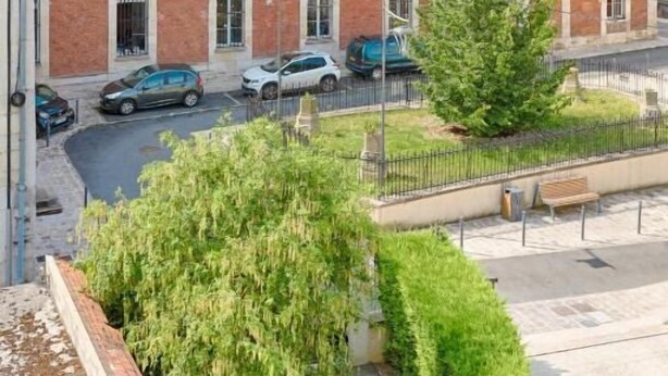 A red brick building with multiple windows and a sloped roof. There are parked cars in front and a small tree in the foreground. - Le Magnolia - Proche de Disneyland (Lagny-sur-Marne)