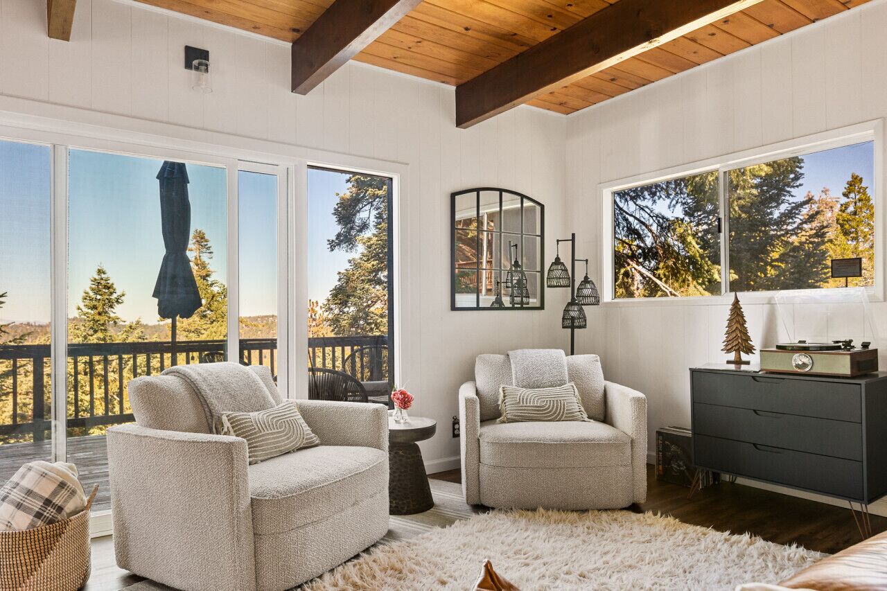 Smart TV, fireplace, video games, books