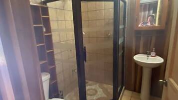 A bathroom with a shower enclosure, toilet, sink, and a mirror.