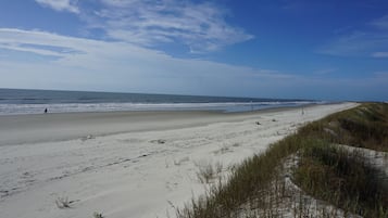 ビーチの近く、サンラウンジャー