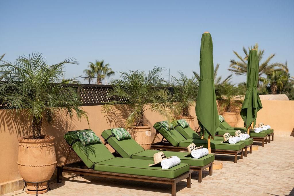 Fila de sillones verdes con sombrillas, dispuestos en una terraza con baldosas y palmeras al fondo.