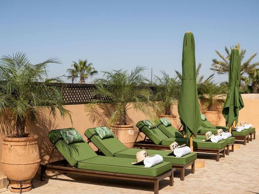 Fila de sillones verdes con sombrillas, dispuestos en una terraza con baldosas y palmeras al fondo.