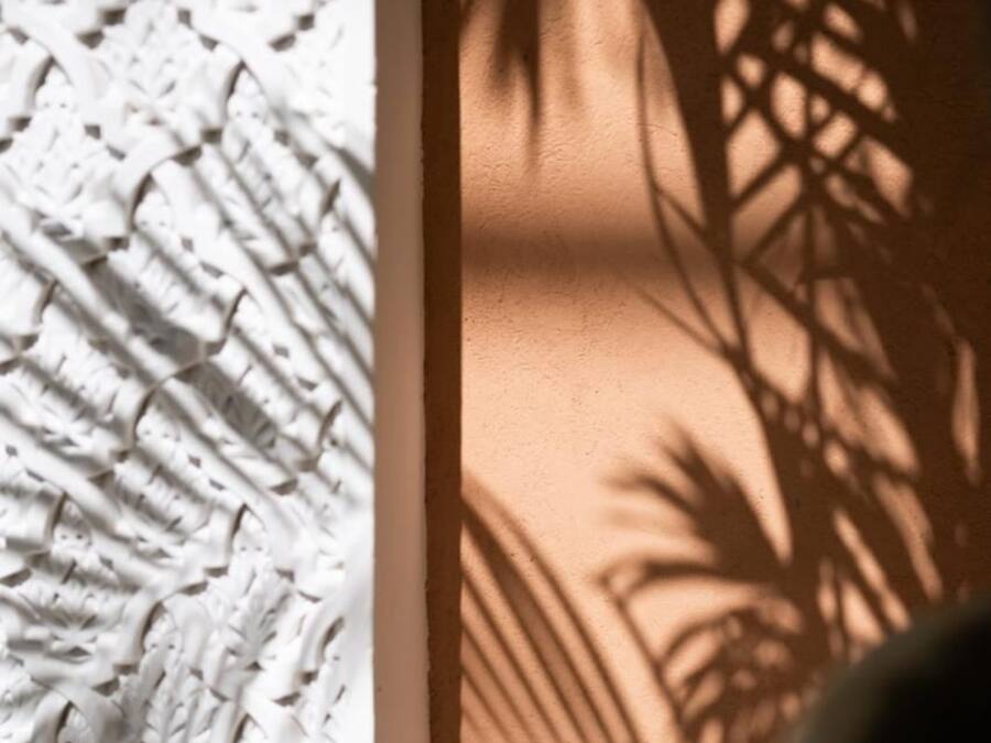 Un mur à la texture particulière, sur lequel se dessine l’ombre de feuilles de palmier.