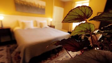 Comfort Double Room, Garden View