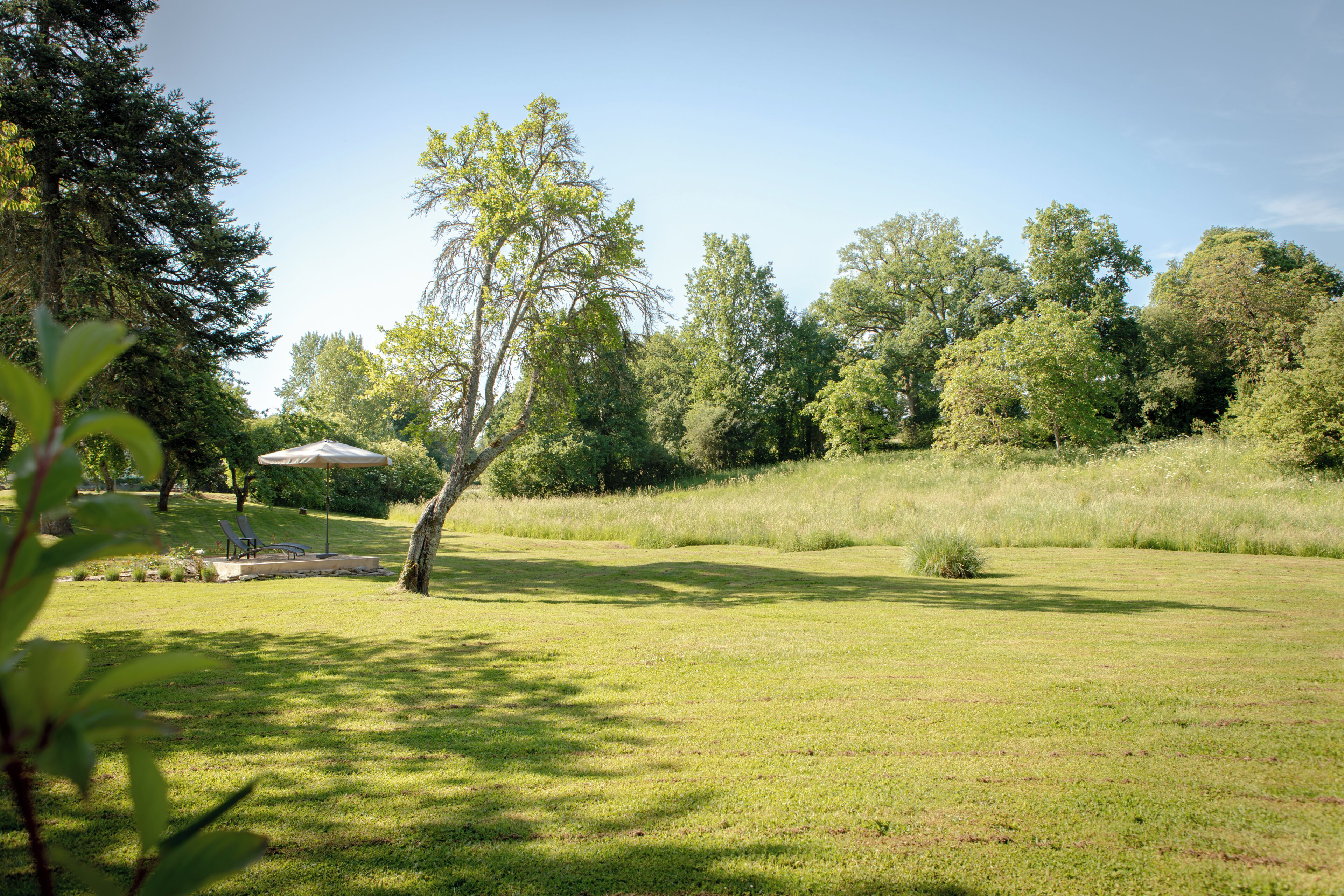 A grassy outdoor area with trees and a patio with chairs and an umbrella.
