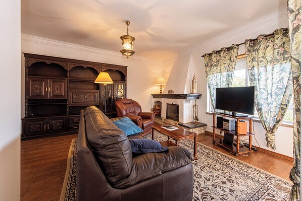 TV, fireplace, DVD player