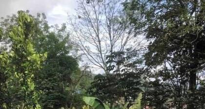 Cabaña Mandarino, surrounded by nature