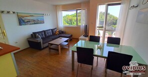 TV, video games, DVD player, books