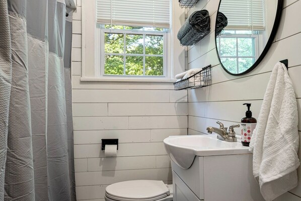 Hair dryer, soap, shampoo