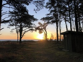 Une vue au coucher du soleil, avec des arbres et une petite construction en bois.