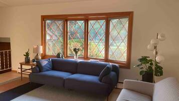 Smart TV, fireplace, books, offices