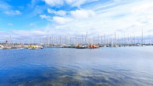 A marina with numerous sailboats docked in calm waters.