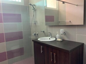 Ducha, bañera de hidromasaje, secador de pelo y bidé