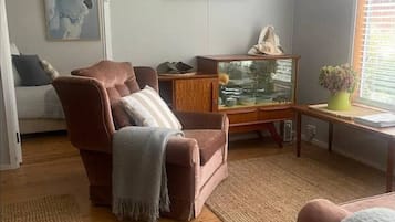 Una televisión, una chimenea