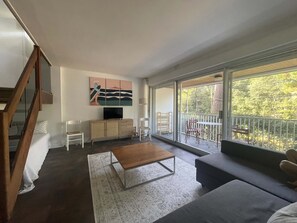TV