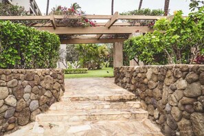 Property grounds - Kihei Studio, AC, walk to shops, dining, & beach (Kihei)