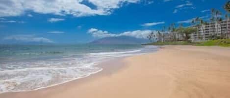 Chaises longues, serviettes de plage