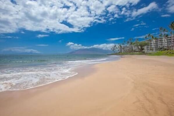 Chaises longues, serviettes de plage