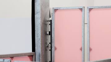 Un conjunto de taquillas metálicas con puertas rosas, una pared blanca y una puerta con un número.