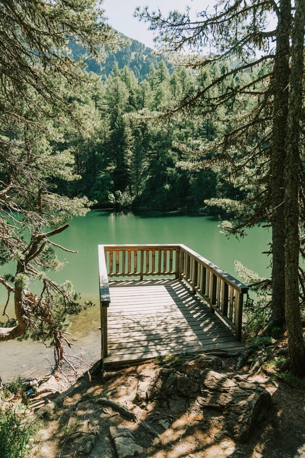 Parco della struttura