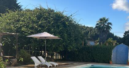 Casa das Camélias Tortas, charming and welcoming